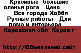 Красивые  большие оленьи рога › Цена ­ 3 000 - Все города Хобби. Ручные работы » Для дома и интерьера   . Кировская обл.,Киров г.